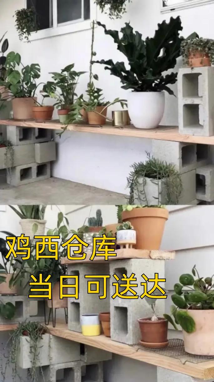 雞西市政工程水泥磚兩坑兩槽小竅門 #市政工程 #市政工程#誠